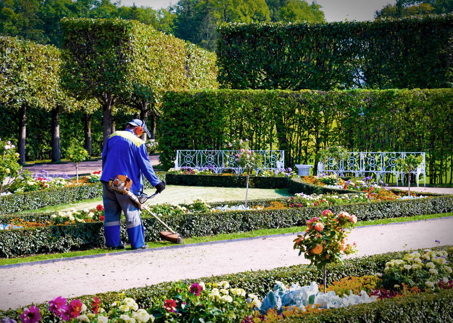 Garten und Landschaftspflege Gartenpflege Garten und